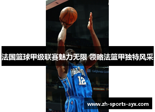 法国篮球甲级联赛魅力无限 领略法篮甲独特风采 法国篮球甲级联赛魅力无限 领略法篮甲独特风采