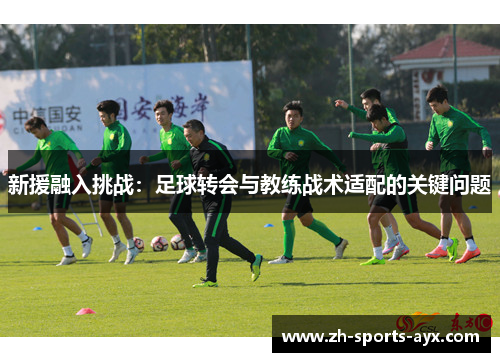 新援融入挑战:足球转会与教练战术适配的关键问题 新援融入挑战:足球转会与教练战术适配的关键问题