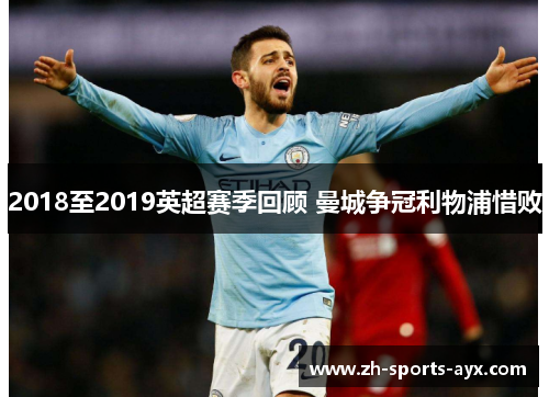 2018至2019英超赛季回顾 曼城争冠利物浦惜败 2018至2019英超赛季回顾 曼城争冠利物浦惜败